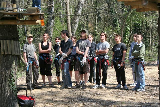 Prêts pour faire un tour dans les arbres !